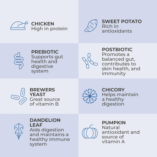 Belly Booster Gut Health Dog Treats