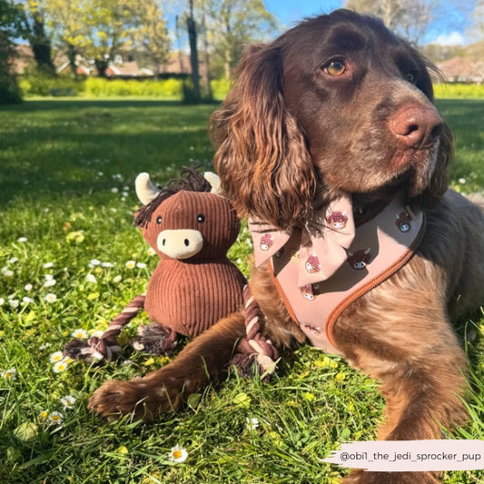 Harold The Highland Cow Toy