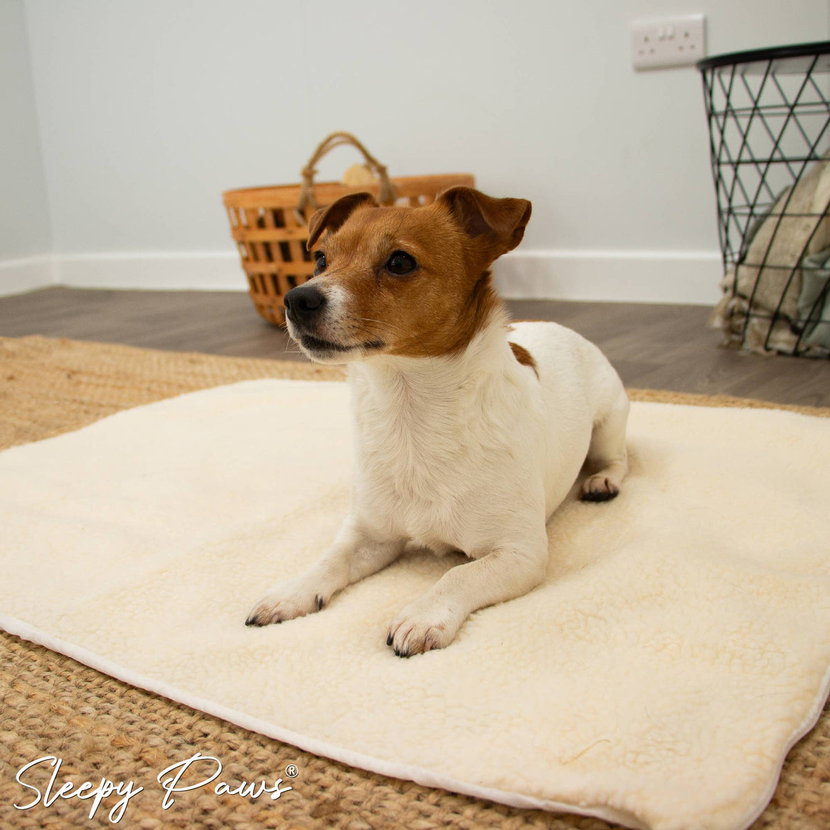 Self Heating Pad for Pets