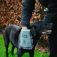 Load image into Gallery viewer, Microfibre Pet Drying Glove
