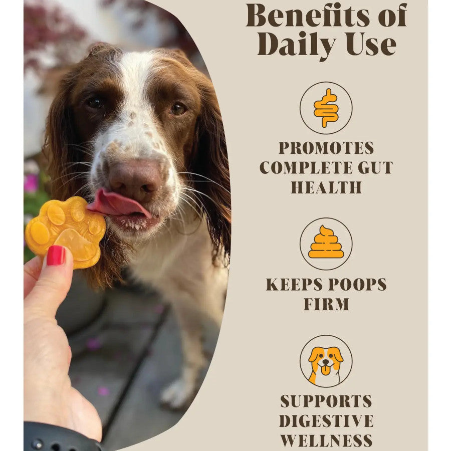 Pumpkin & Probiotics