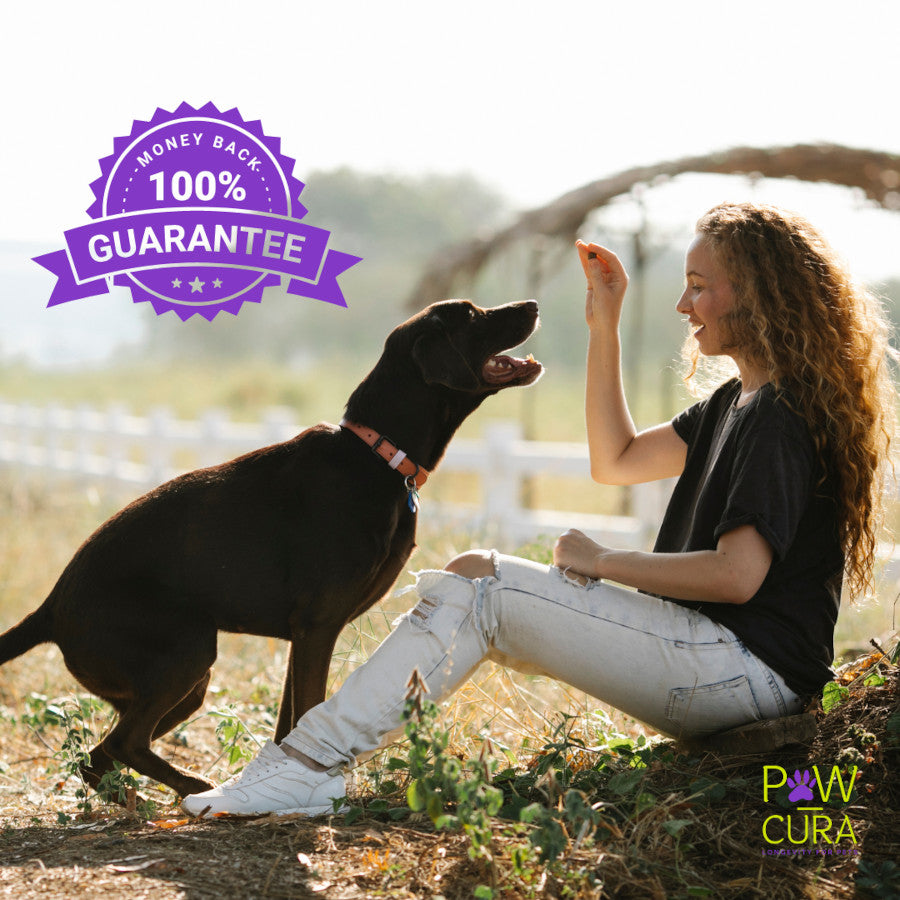 Insect Protein Oven Baked Skin & Coat Snappeez