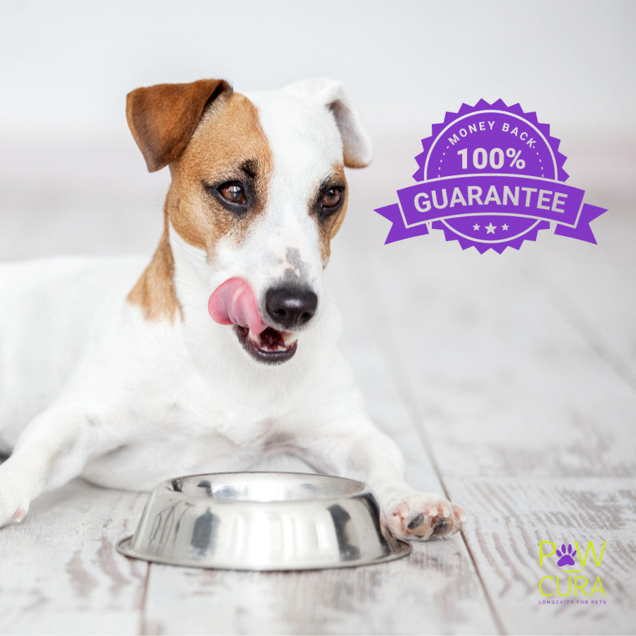 Insect Protein Adult Small Breed Dog Food 2KG