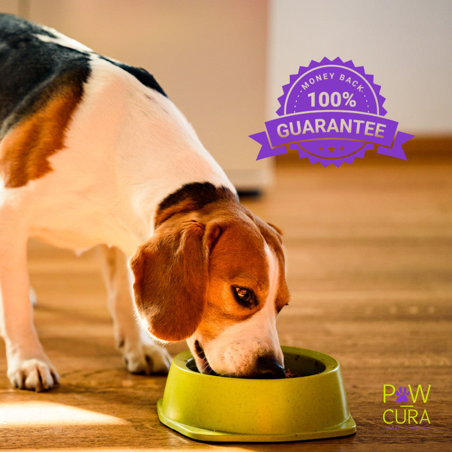 Insect Protein Adult Medium/Large Breed Dry Dog Food 2KG