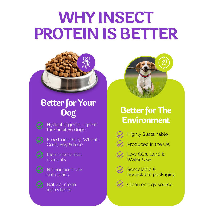Insect Protein Oven Baked Skin & Coat Snappeez