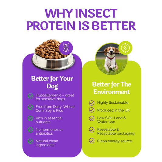 Insect Protein Oven Baked Training Treats Snappeez