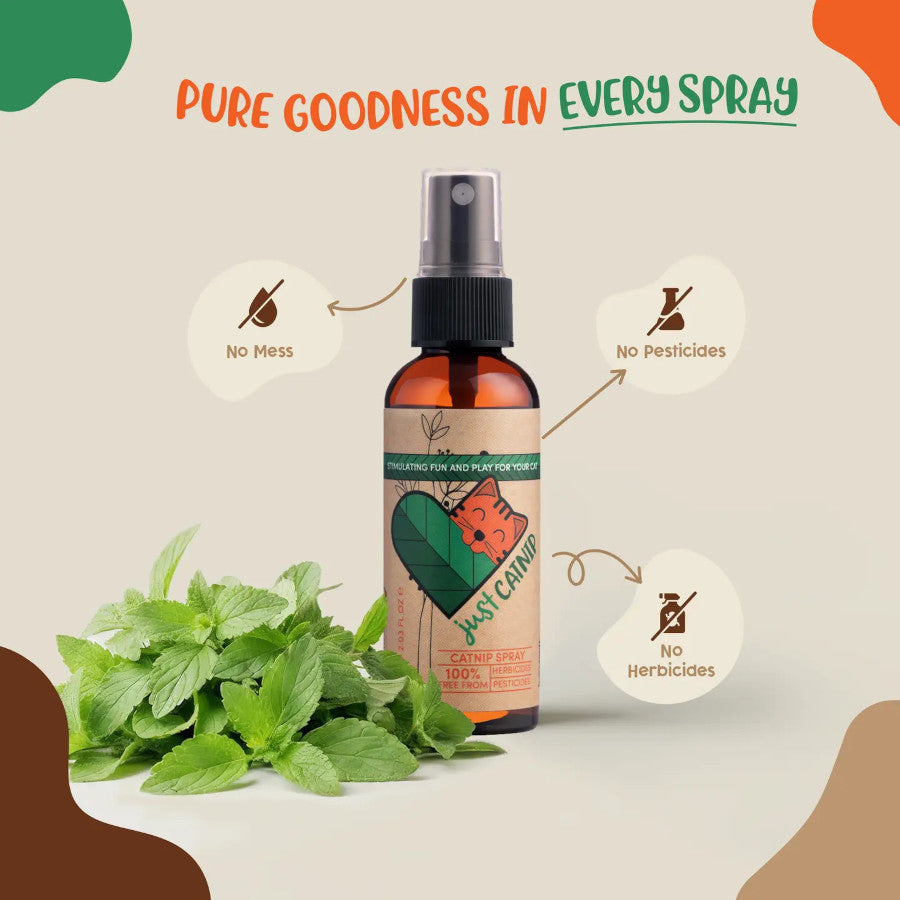 Organic Catnip Spray