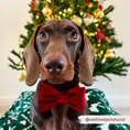 Load image into Gallery viewer, Luxe Velvet Bow Tie - Berry Red
