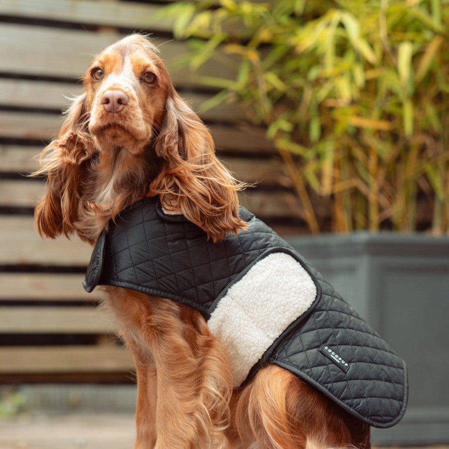 Luxe Quilted Dog Coat Midnight Black