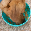 Load image into Gallery viewer, Wobble Bowl
