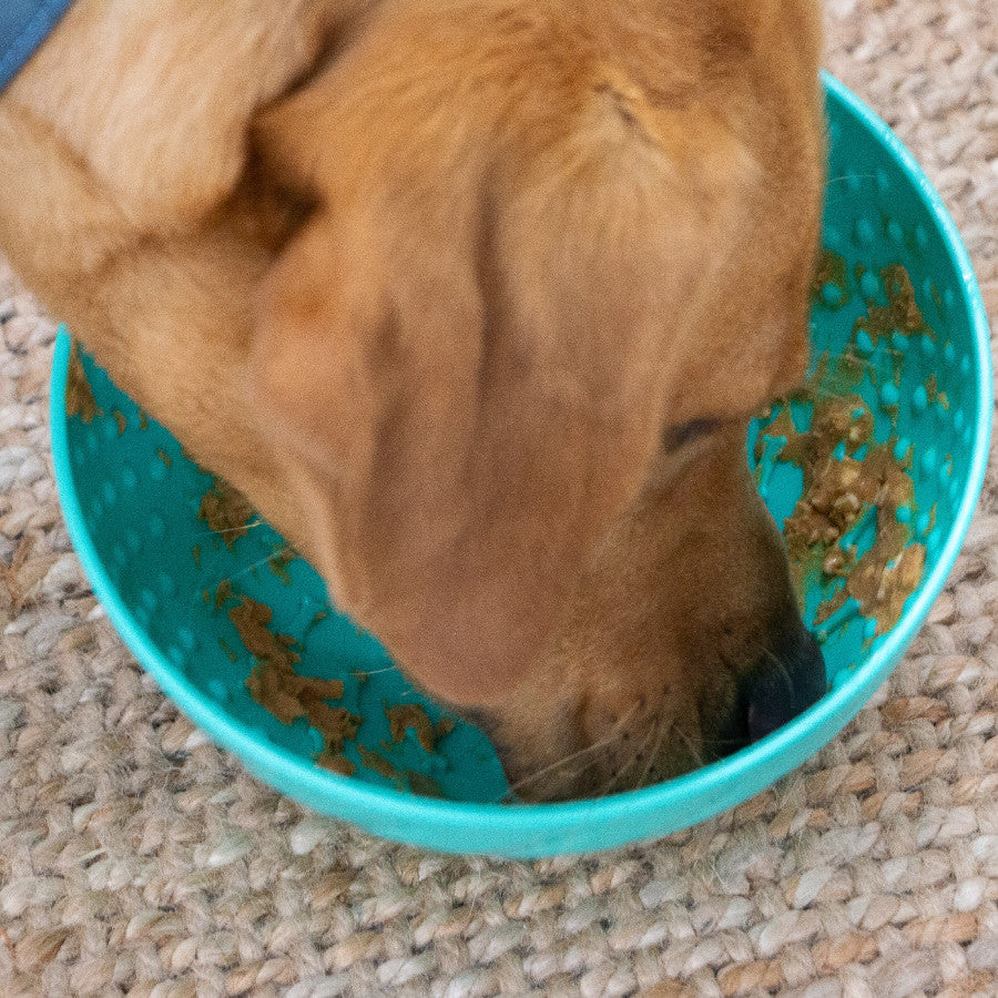 Wobble Bowl
