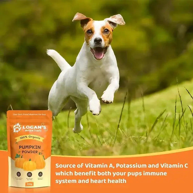 Organic Pumpkin Powder