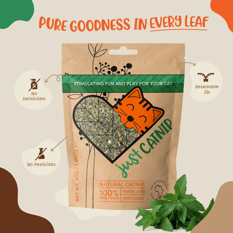 Organic Catnip
