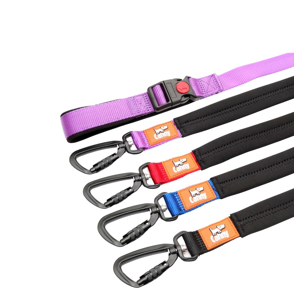 Canny CONNECT Lockable Lead