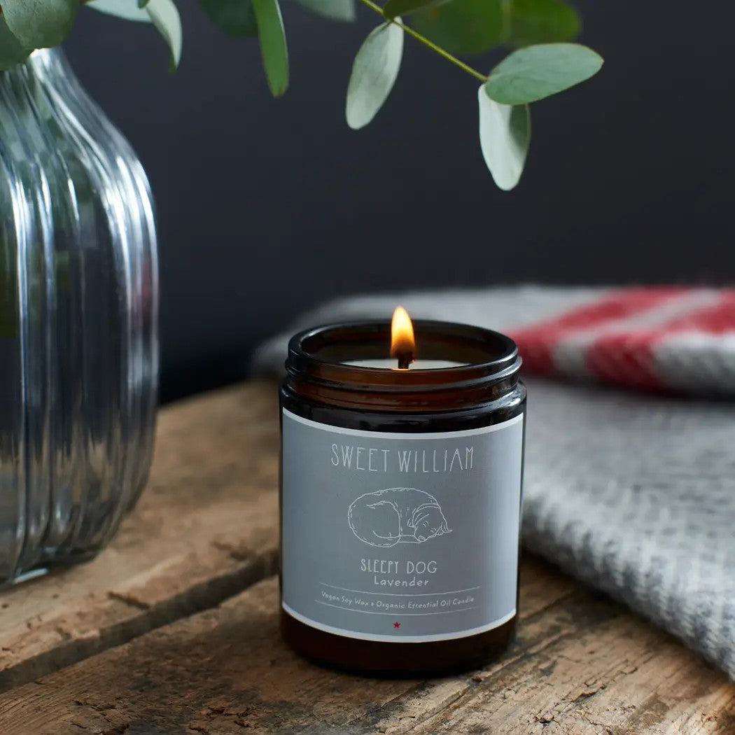 Sleepy Dog Organic Candle