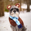 Load image into Gallery viewer, Fuzzy Bear Dog Snood
