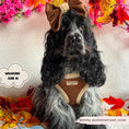 Load image into Gallery viewer, Brown Aviator Adjustable Neck Harness
