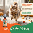 Load image into Gallery viewer, Organic Catnip Spray
