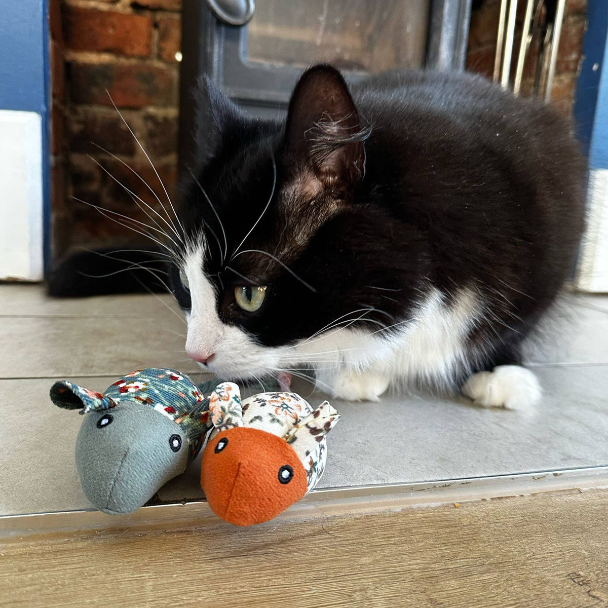 Fancy Patterned Mice Cat Toy 2 Pack