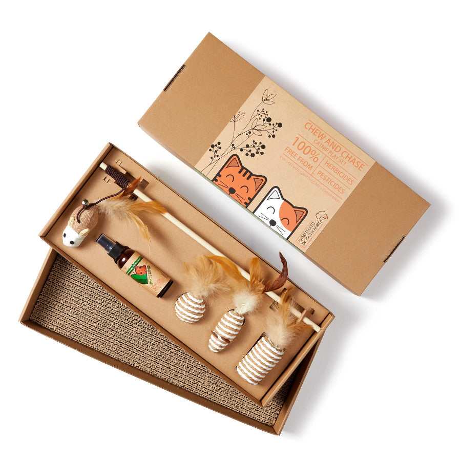Chew and Chase Catnip Play Set