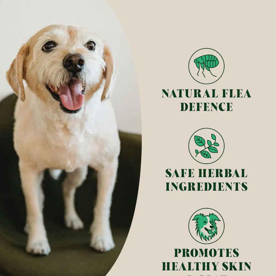 Natural Flea and Tic Powder