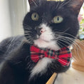 Load image into Gallery viewer, Red Tartan Cat Bowtie
