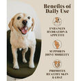 Load image into Gallery viewer, Beef Bone Broth Topper for Dogs & Cats
