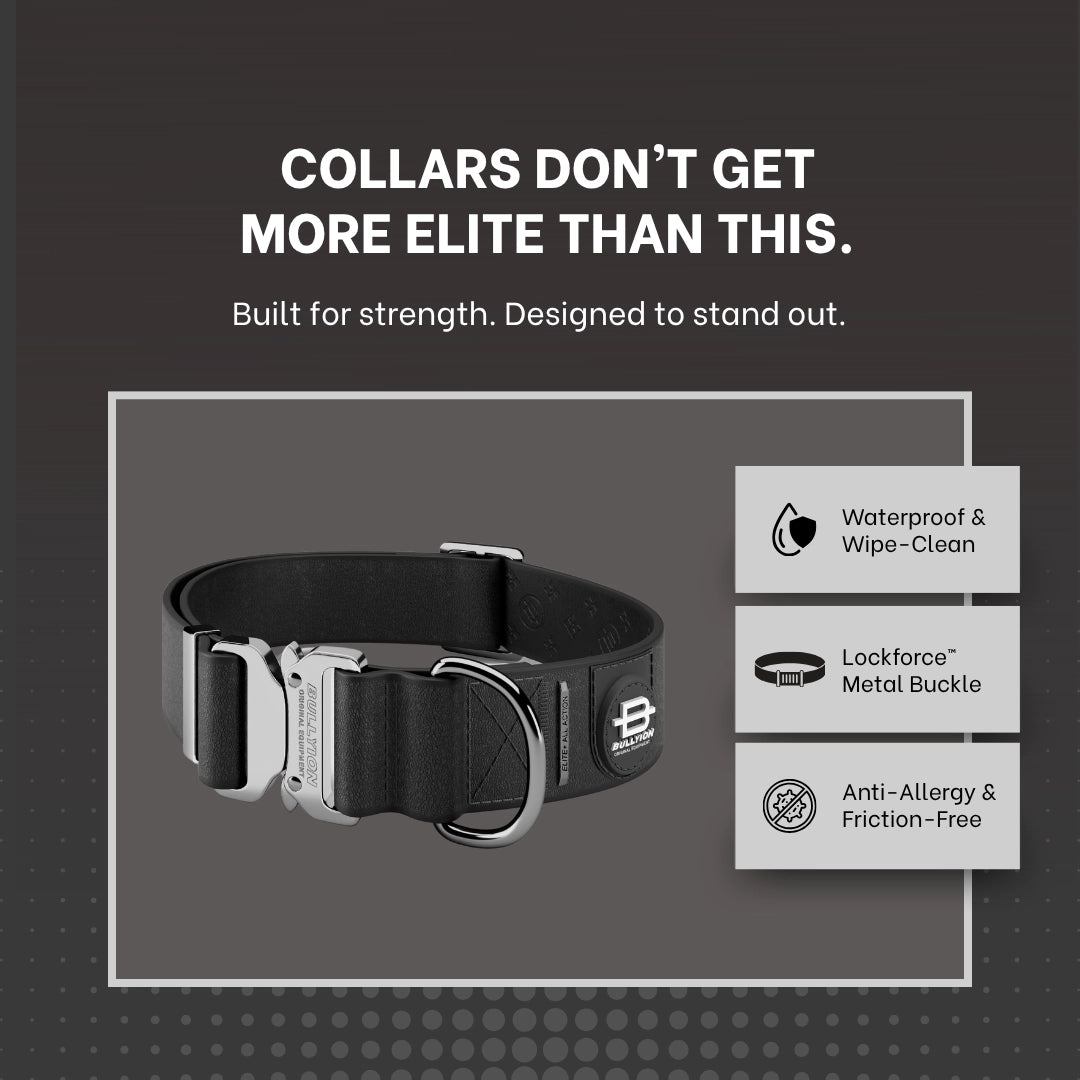 Bullyion Elite+® Dog Collar