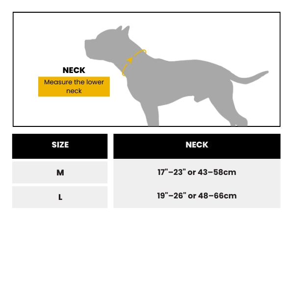 Bullyion Elite+® Dog Collar