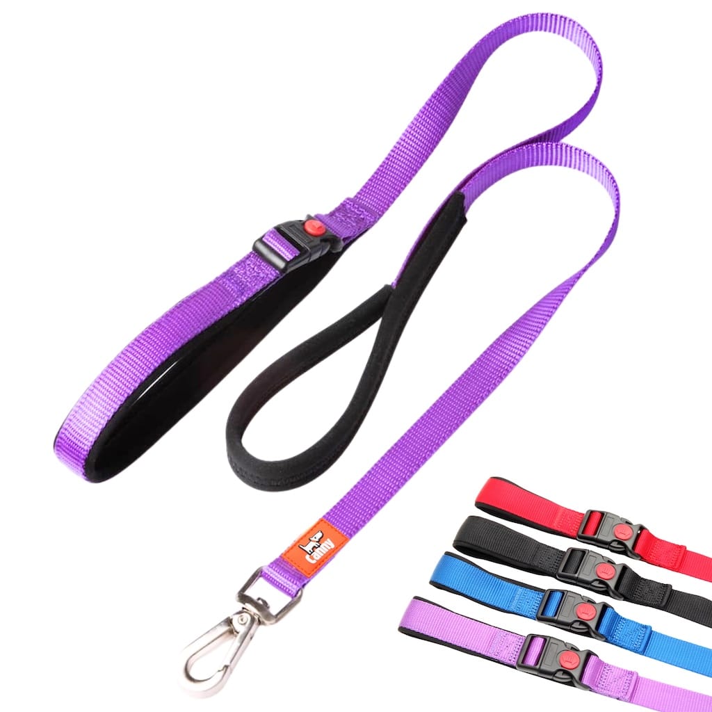Canny CONNECT Lockable Lead