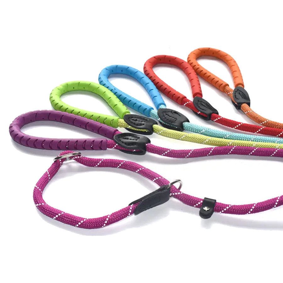 Dog Slip Lead with Fig 8 Training Aid (Medium / Large Dogs)