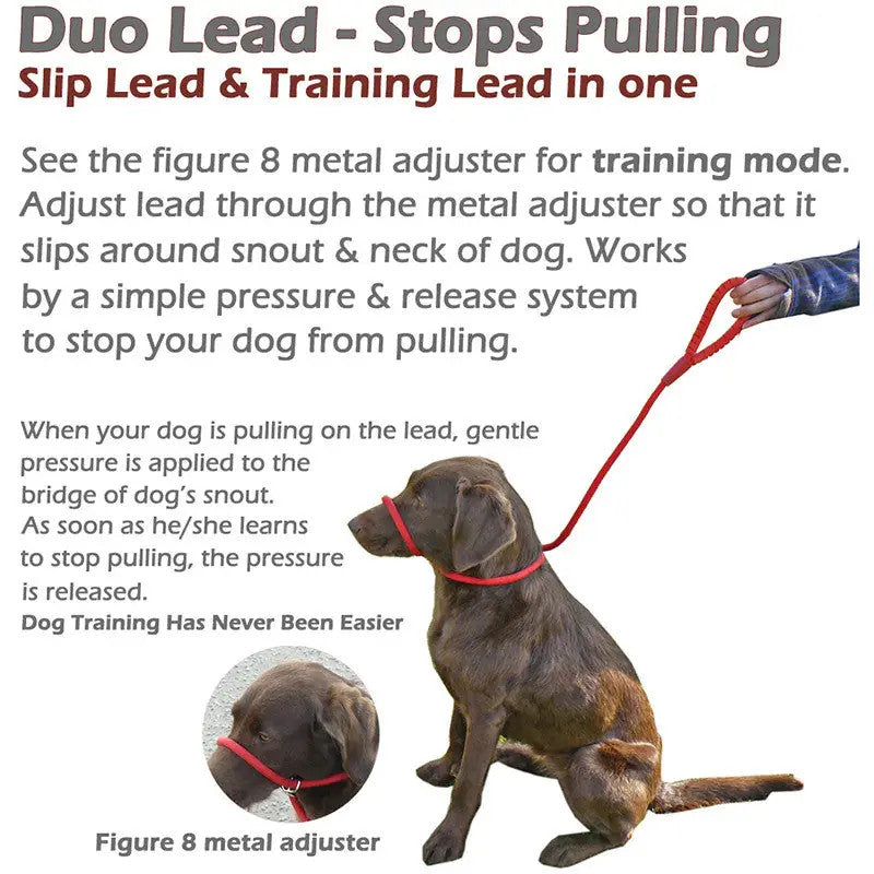 Dog Slip Lead with Fig 8 Training Aid (Medium / Large Dogs)