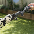 Load image into Gallery viewer, Rope Buddy Toy Grey Dog
