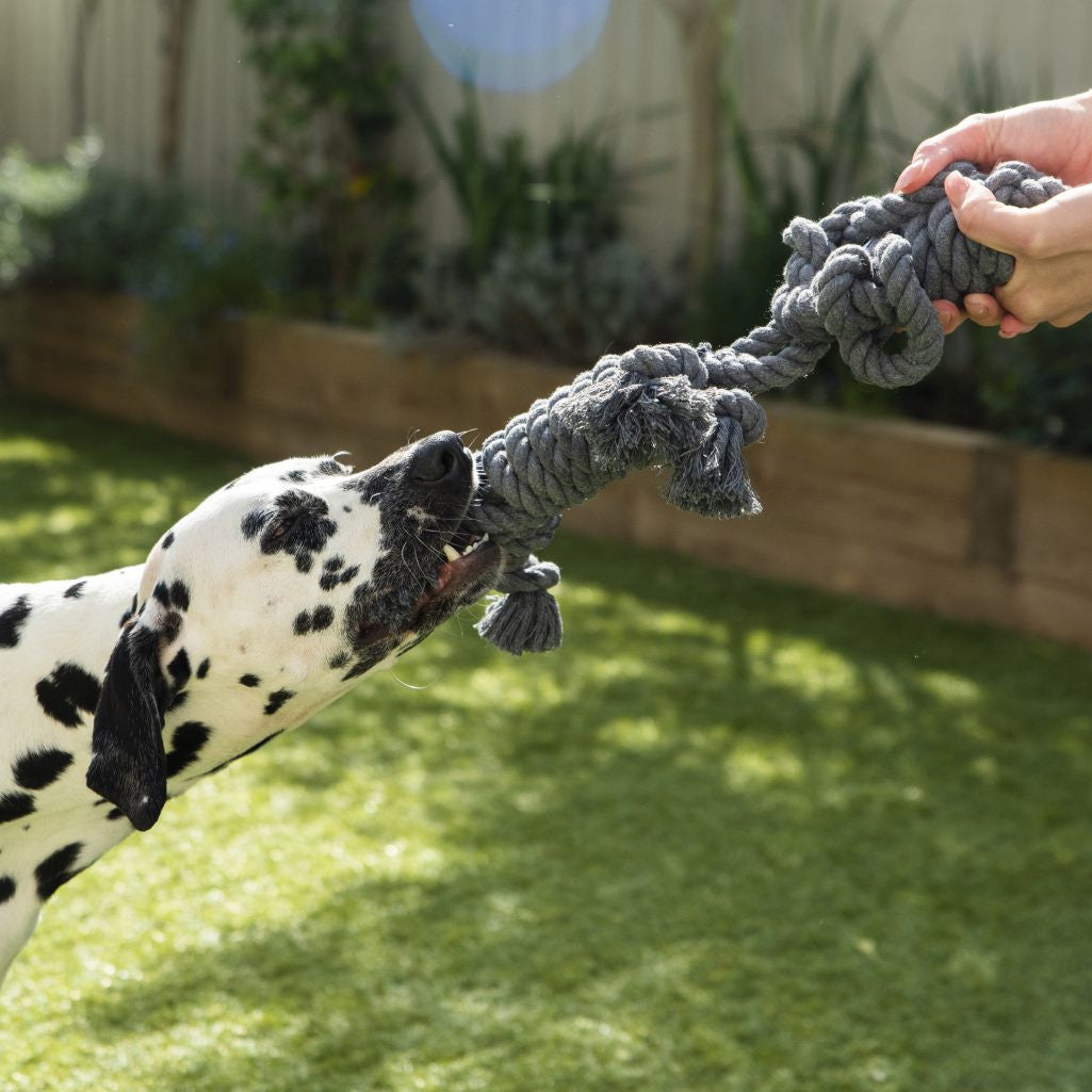Rope Buddy Toy Grey Dog