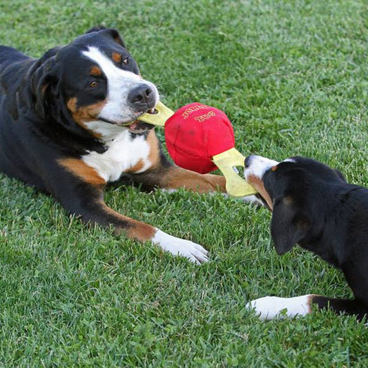 Jolly Tug Toy