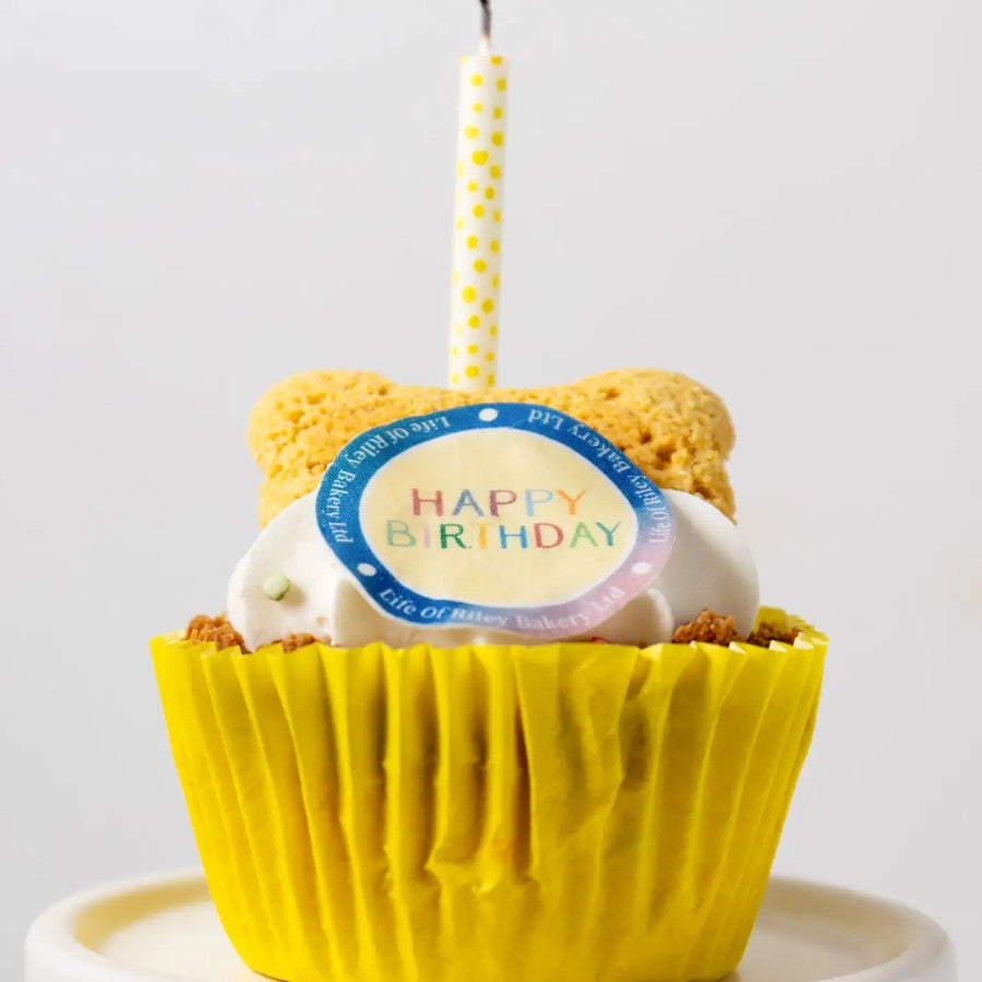 Birthday Pupcake