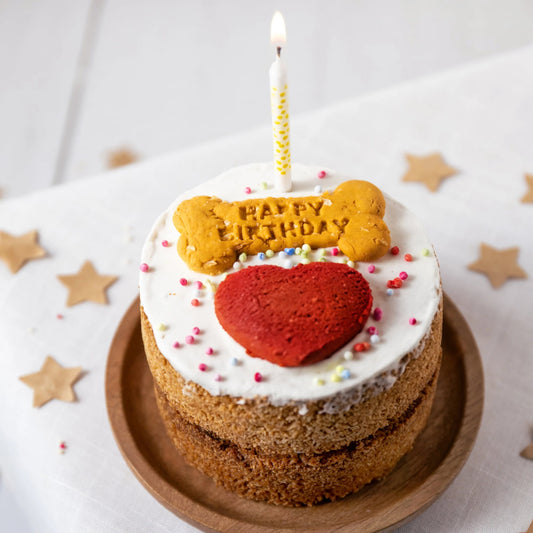 Dog Birthday Cake