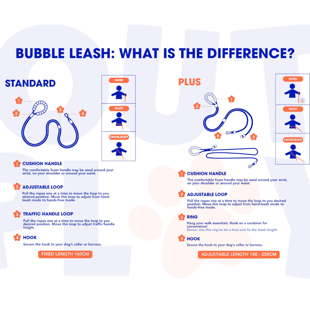 Bubble Leash Standard