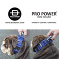 Load image into Gallery viewer, Pro Power Dog Collar With Handle
