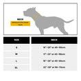 Load image into Gallery viewer, Pro Power Dog Collar With Handle

