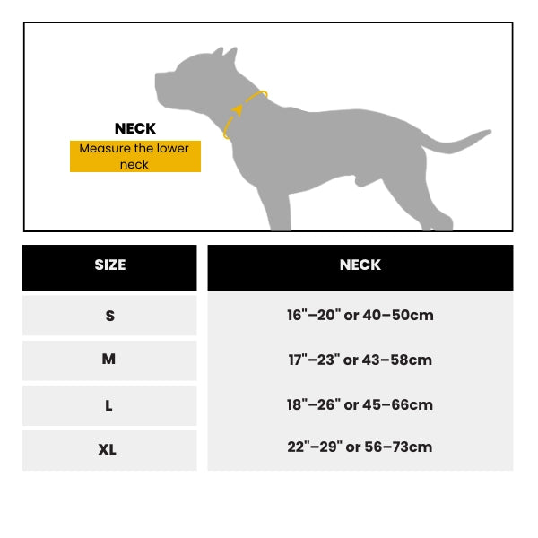 Pro Power Dog Collar With Handle
