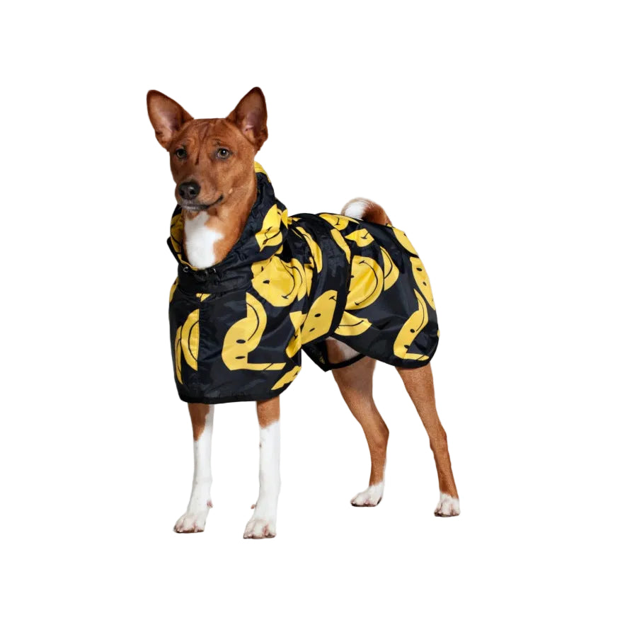 A small brown and white dog stands on a white cylindrical pedestal wearing a black dog coat covered in a yellow smiley print,