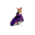 Load image into Gallery viewer, A small brown and white dog wearing a purple and pink patterned hooded raincoat
