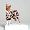 Load image into Gallery viewer, Pink Panther Dog Poncho
