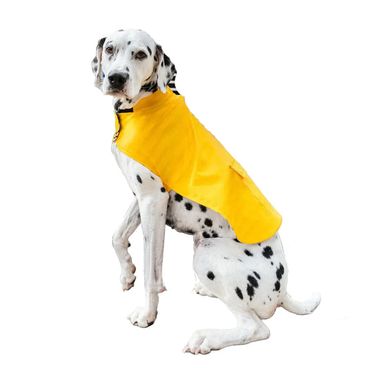 Dog Raincoat Toutouciré