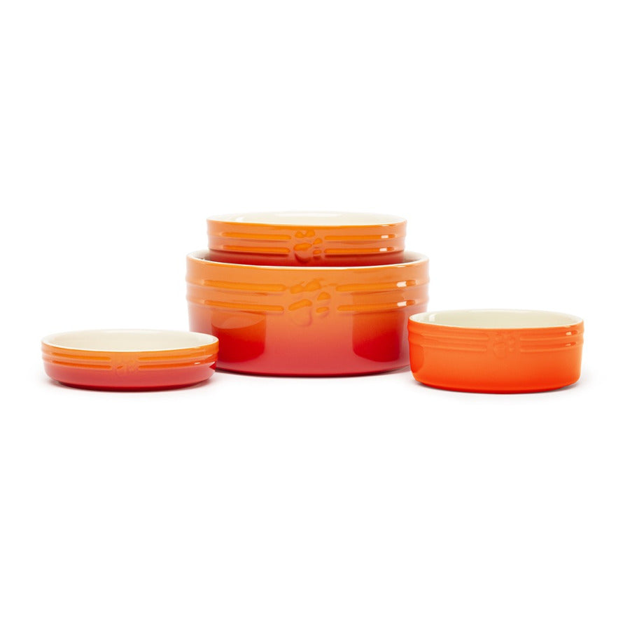 Ombre Food Bowl Orange