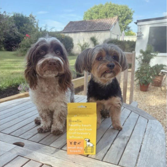 Brewbix Small Dog Breeds Peanut Butter Biscuits