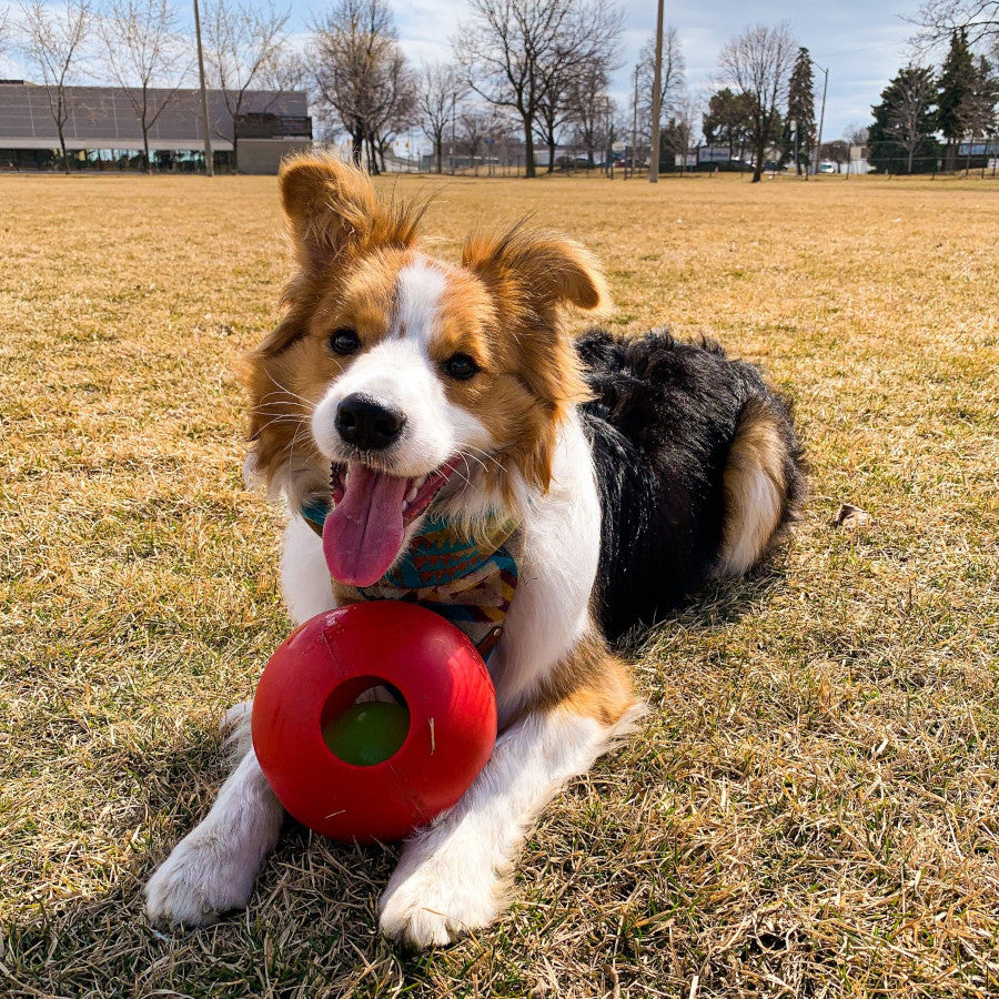 Teaser Ball