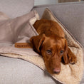 Load image into Gallery viewer, Snuggle Pet Blanket
