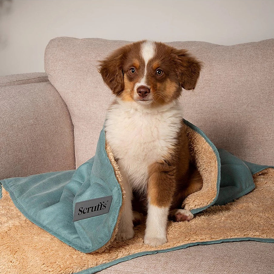 Snuggle Pet Blanket